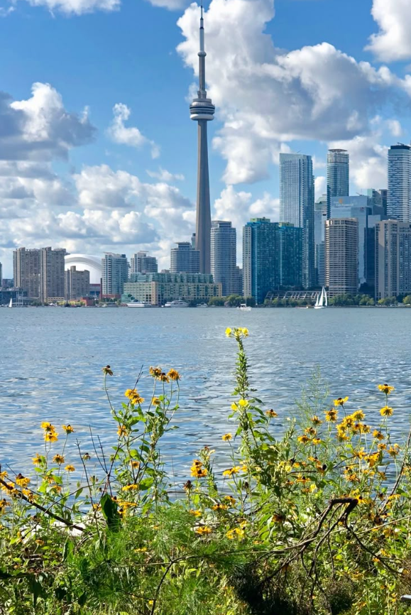yacht rentals toronto